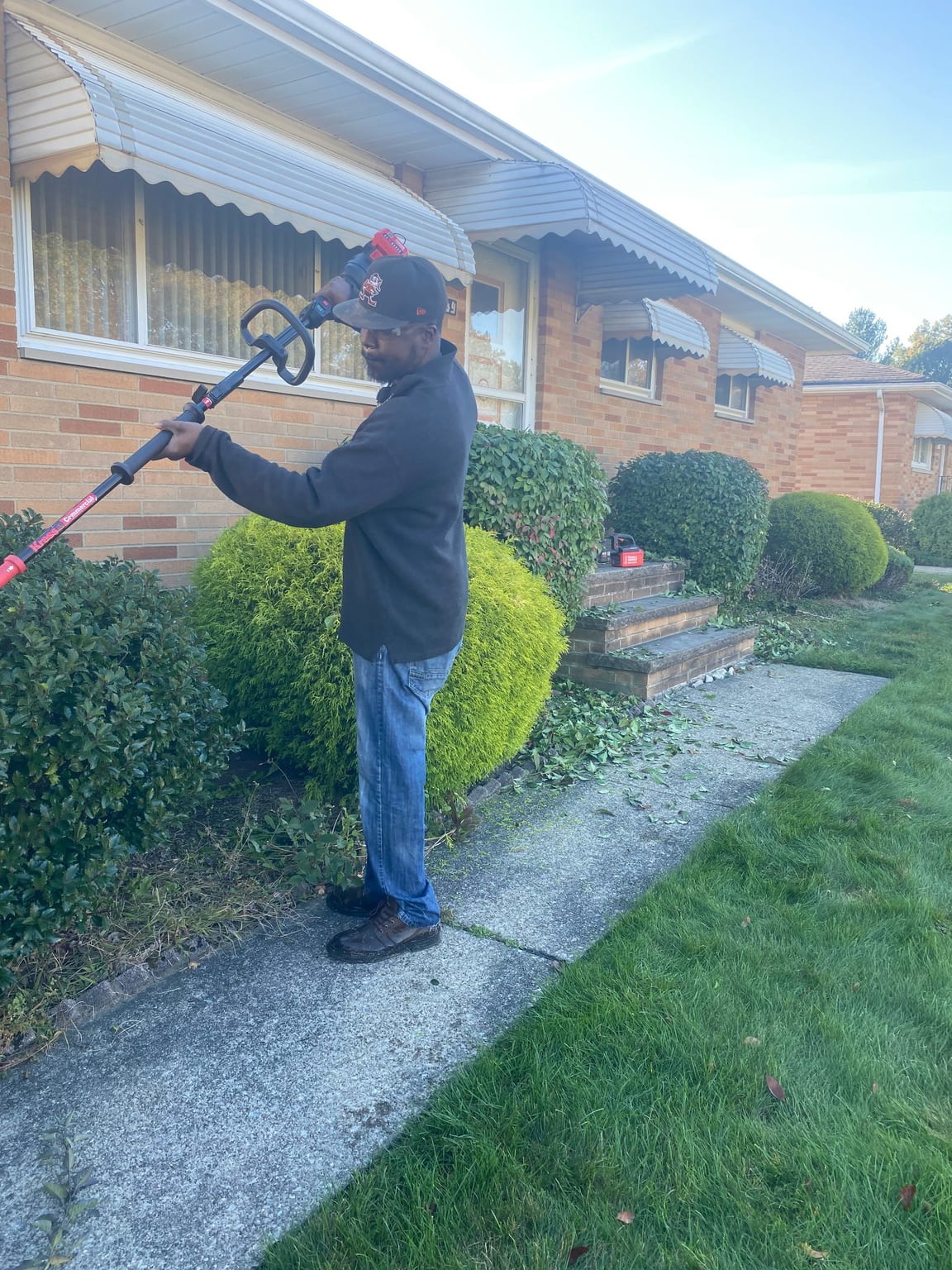 Hedge Trimming service