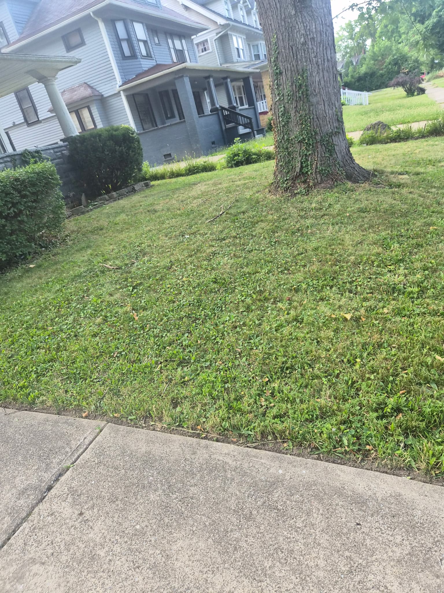 Maintained residential lawn shown in Antonio’s Lawn Mowing project gallery