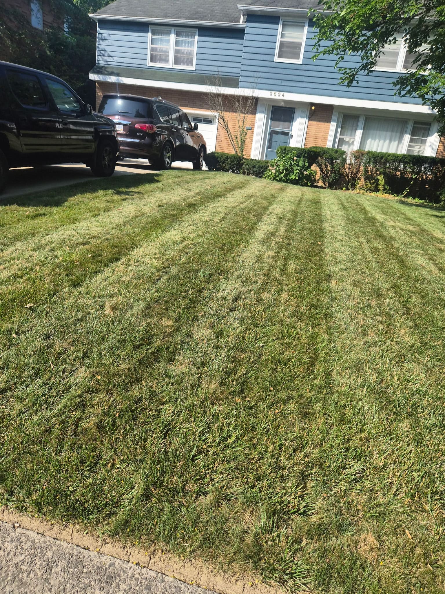 Striped front lawn between a sidewalk and a blue two-story house