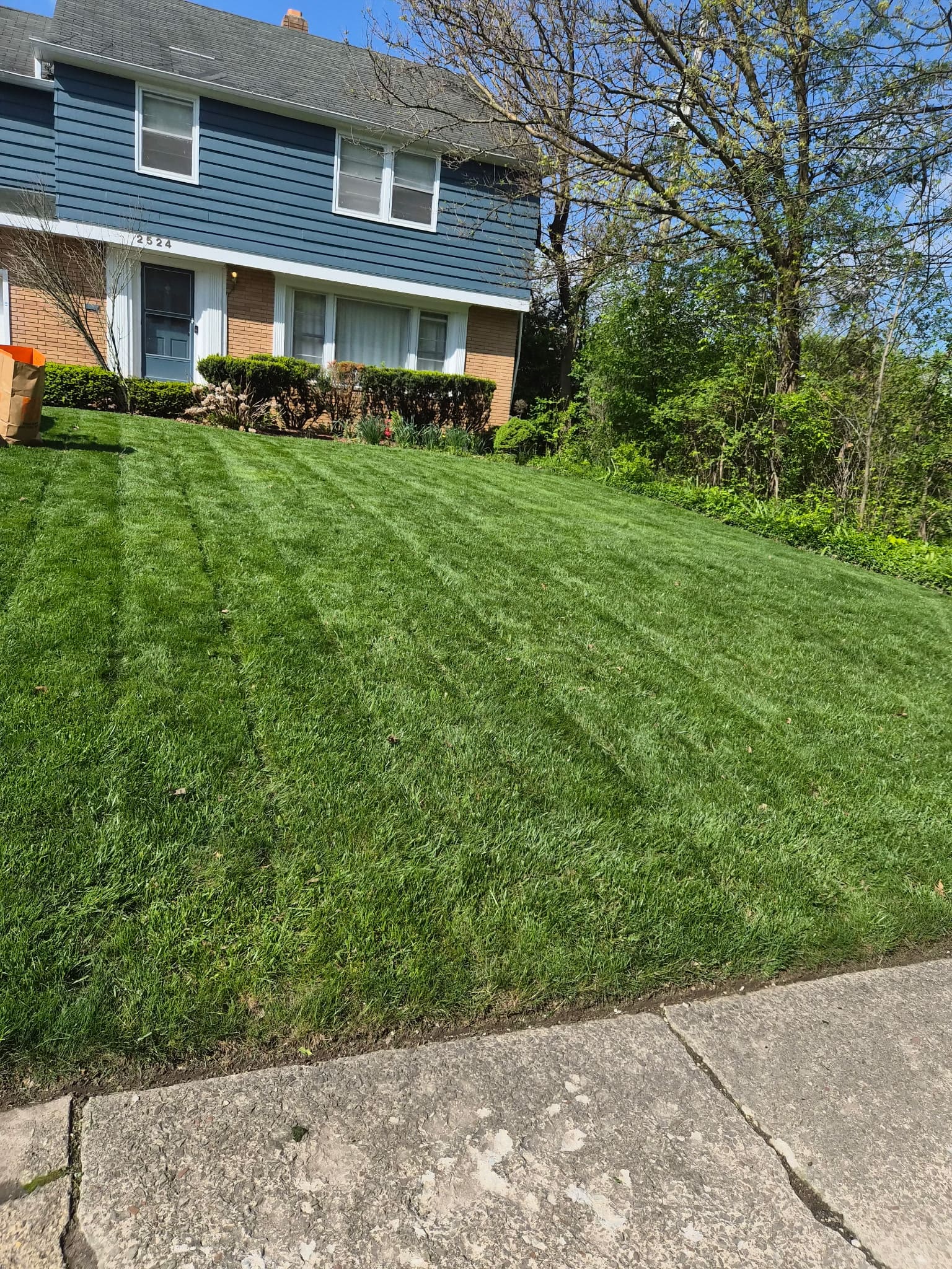 Bright green sloped lawn with mowing lines beside a sidewalk